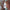 Werbe-Banner