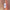 Werbe-Banner