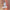 Werbe-Banner