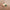 Werbe-Banner