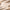 Werbe-Banner